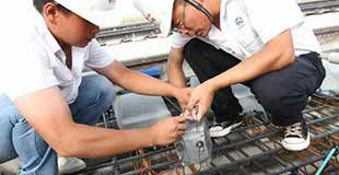 ����������Ե����